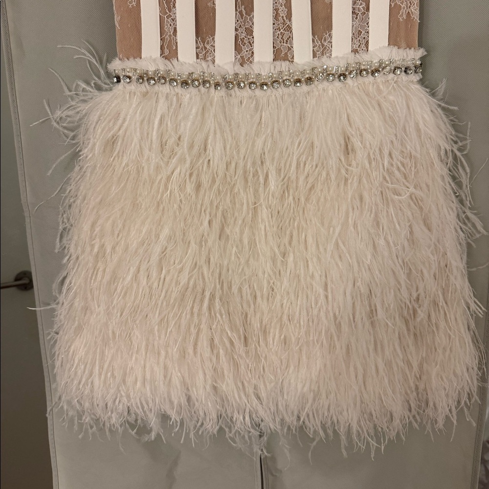 NEVER WORN Alicia & Olivia Shia Sheer Bustier Feather Dress - Picture 5 of 8